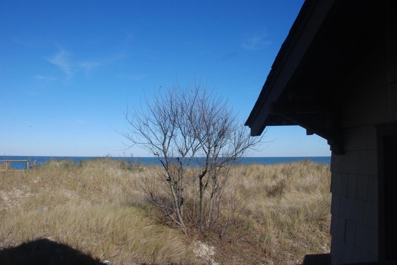 Rustic Rooftop Delight - Bay Front Apts Norfolk Exterior photo